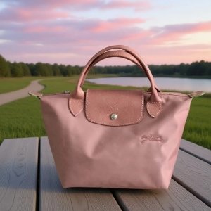 CETTIRE Longchamp Sale